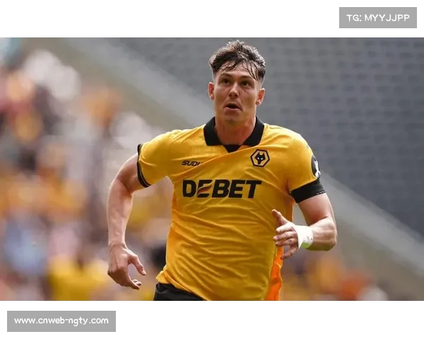 英超俱乐部冬窗操作盘点：狼队出售拉尔森引进戈麦斯、阿姆斯特朗